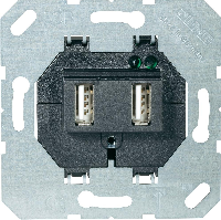 JUNG МехЗарядная розетка USB (521-2USB)