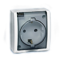 Simon15 Aqua Белый Розетка 1-я с/з с крышкой наружная,IP54 (1594445-030)