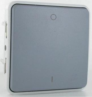Переключатель двухполюсный 10AX - 250В Legrand Plexo IP55 серый
