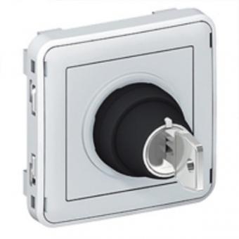 Выключатель двухпозиционный с ключем Legrand Plexo IP55 серый