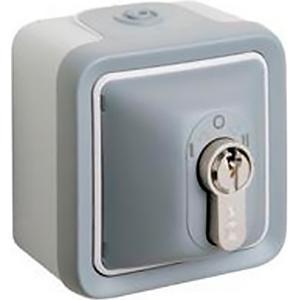 Выключатель с ключом без цилиндра IP20 Legrand Plexo серый