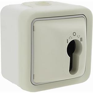 Выключатель с ключом без цилиндра IP20 Legrand Plexo белый