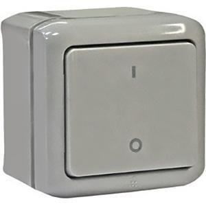Выключатель двухполюсный IP44 Legrand Quteo серый