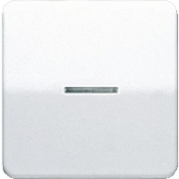 JUNG CD 500/CD plusБеж Клавиша 1-я с/п (CD590KO5)