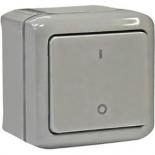 Выключатель двухполюсный IP44 Legrand Quteo серый