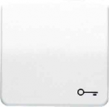 JUNG CD 500/CD plusБронза Клавиша 1-я с символом ”КЛЮЧ” (CD590TGB)