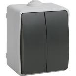 Выключатель двухклавишный для открытой установки IP54 IEK Форс ВС20-2-0-ФСр