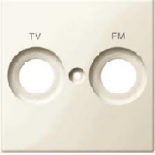 ЦЕНТ.ПЛАТА С МАРКИРОВКОЙ FM И TV